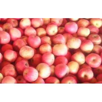 Chinese Fresh Red Delicious Apple Contains Thiamine For Old